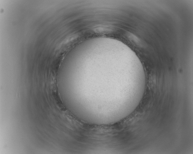 X0000060800917200511241906