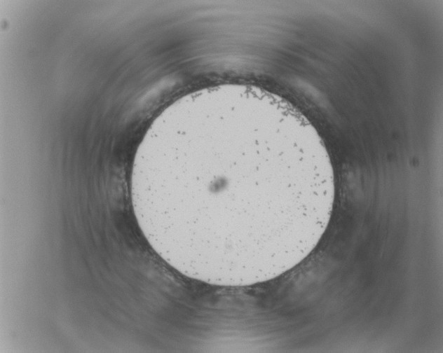 X0000060800918200511241906