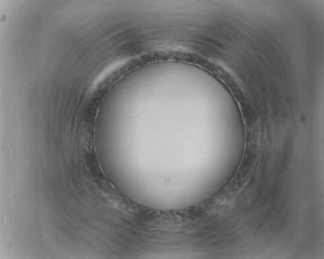 X0000060800919200511241906