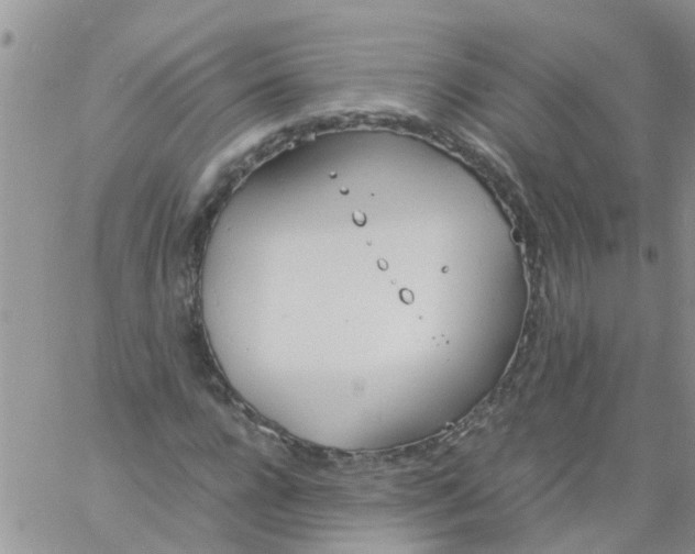 X0000060800920200511241906