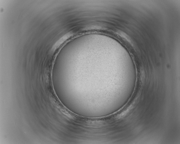 X0000060800921200511241906