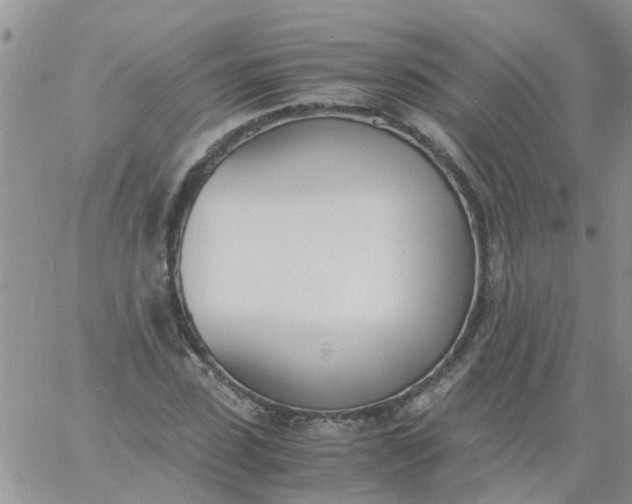 X0000060800923200511241906