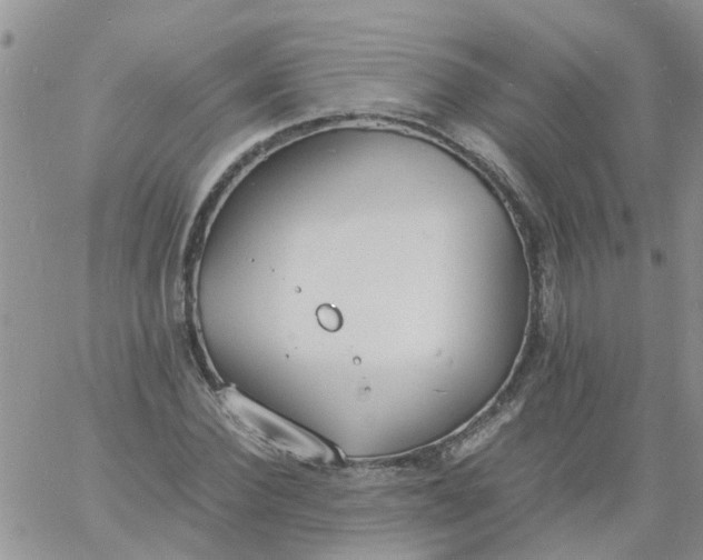 X0000060800924200511241906