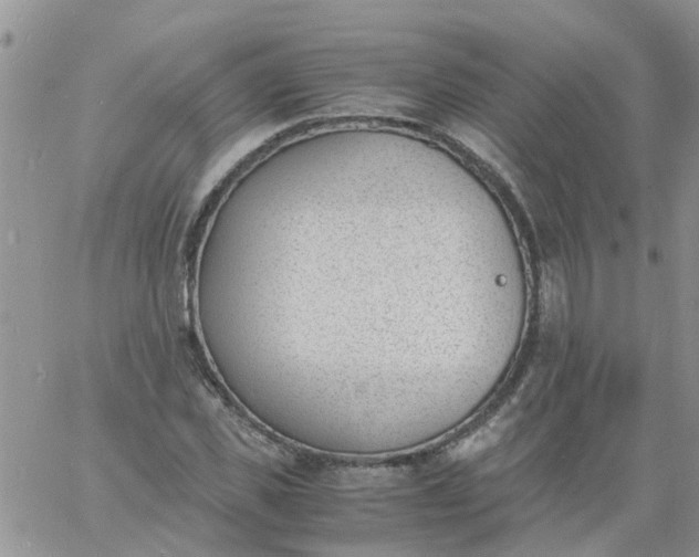 X0000060800925200511241906