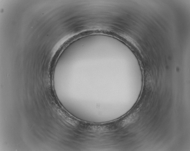 X0000060800927200511241906