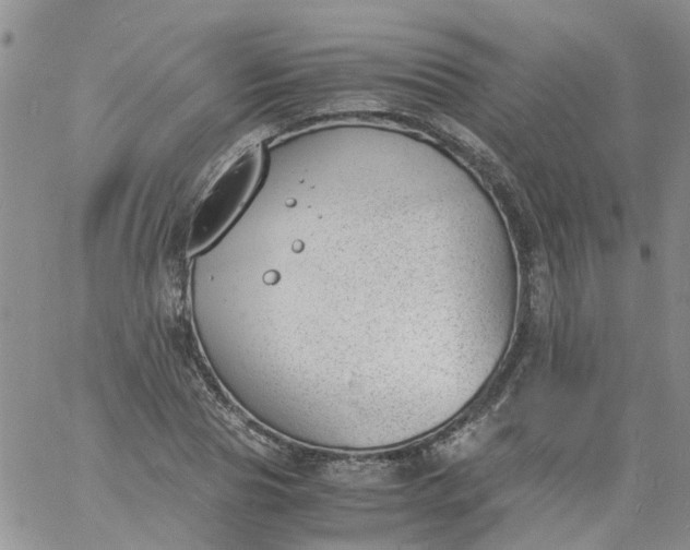 X0000060800929200511241906