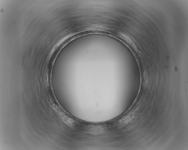 X0000060800931200511241906