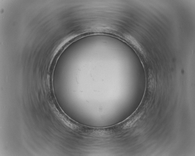 X0000060800932200511241906