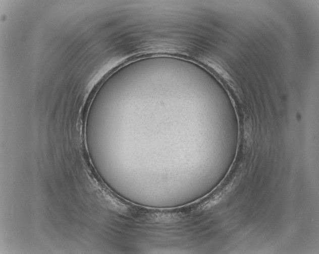 X0000060800933200511241906