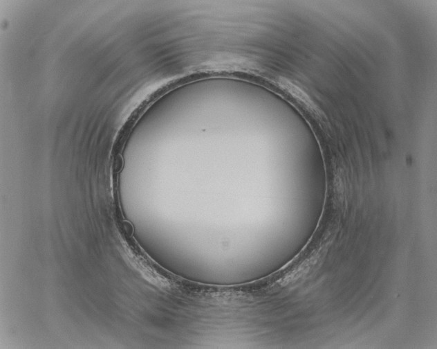 X0000060800934200511241906