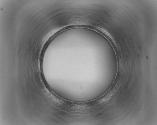 X0000060800935200511241906