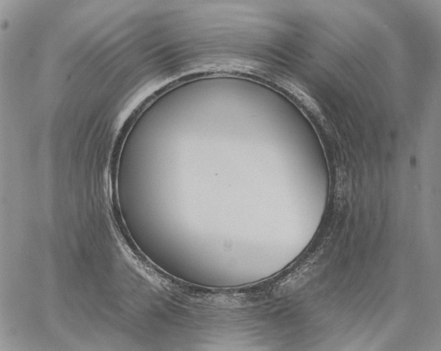 X0000060800936200511241906