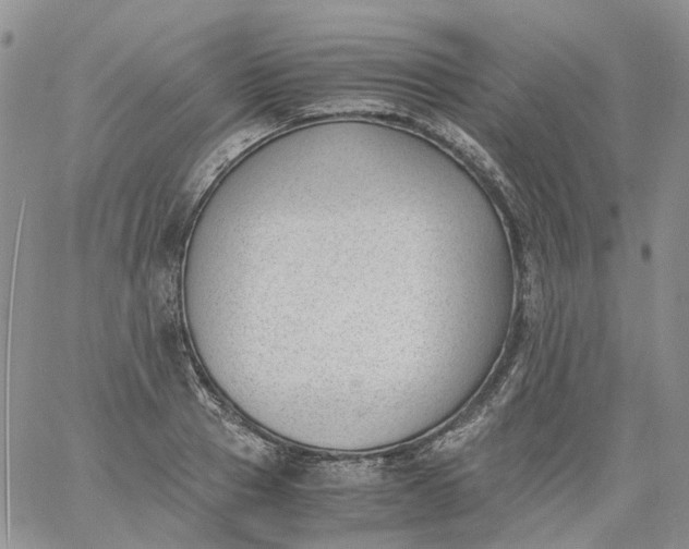 X0000060800937200511241907