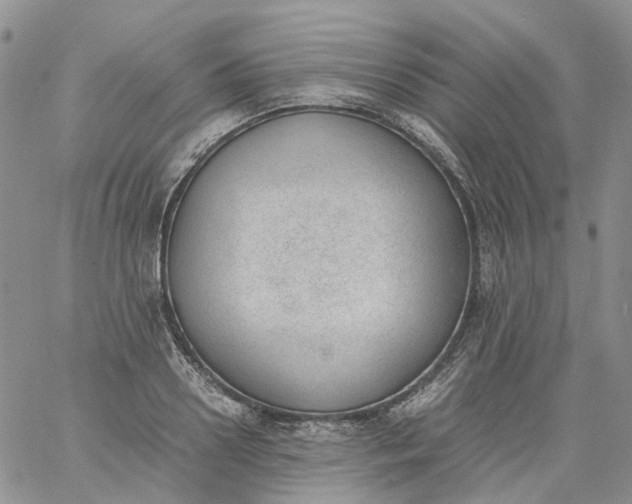 X0000060800938200511241907