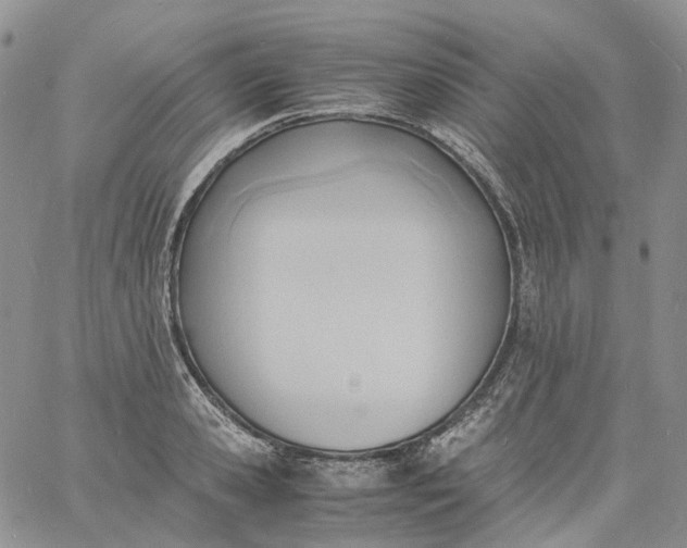 X0000060800941200511241907