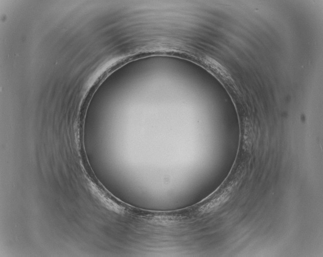 X0000060800942200511241907