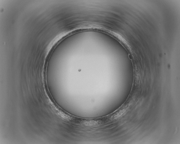 X0000060800943200511241907