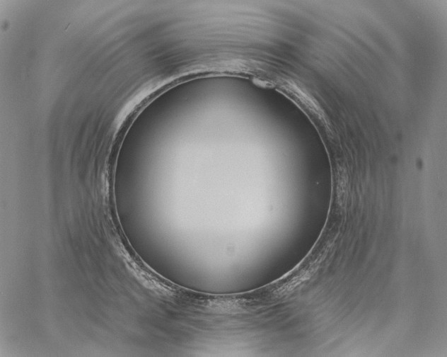 X0000060800944200511241907