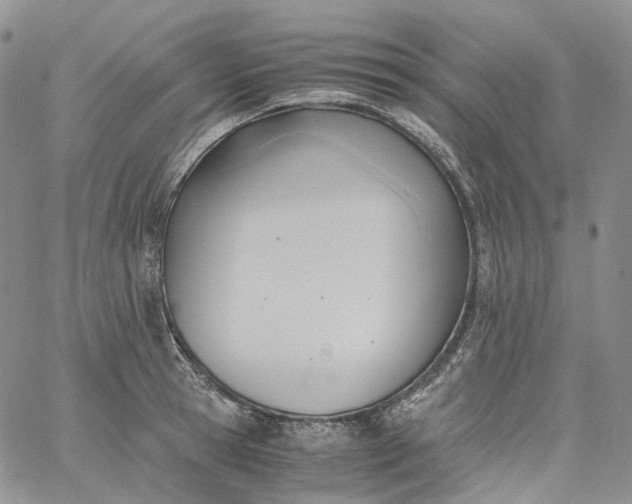 X0000060800945200511241907