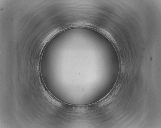 X0000060800946200511241907