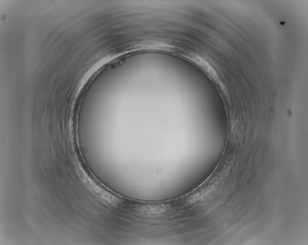 X0000060800947200511241907