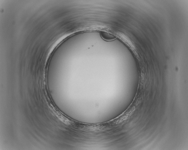 X0000060800948200511241907