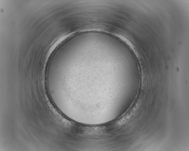 X0000060800949200511241907