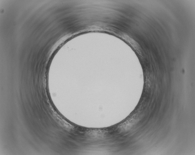 X0000060800950200511241907