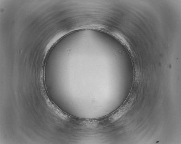 X0000060800952200511241907