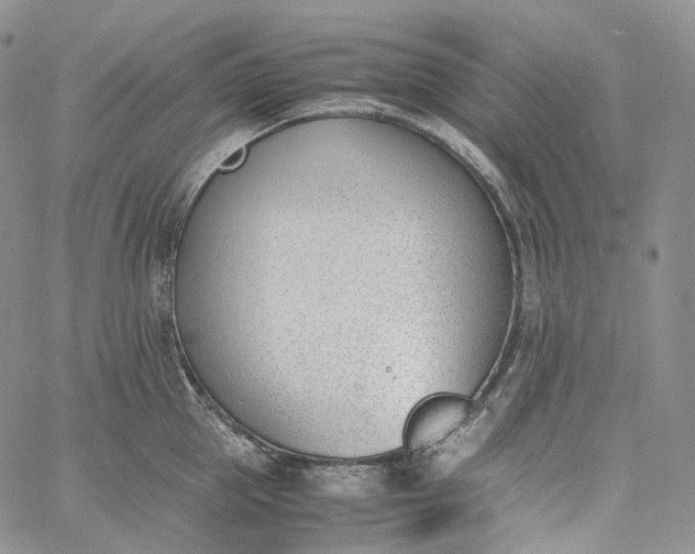 X0000060800953200511241907