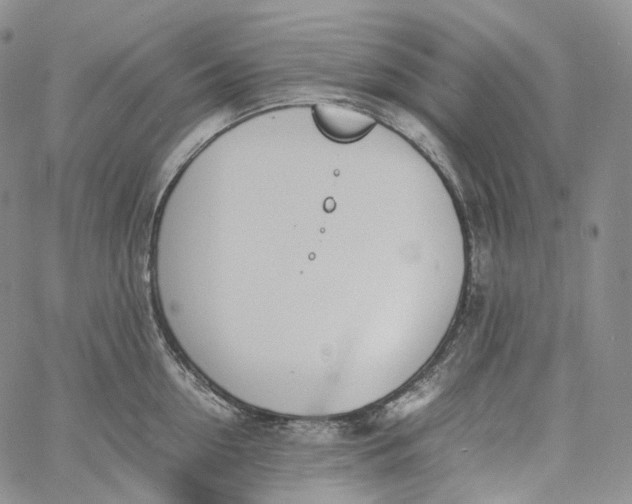 X0000060800954200511241907