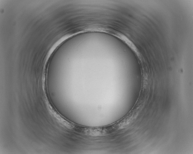 X0000060800955200511241907