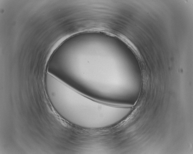 X0000060800956200511241907