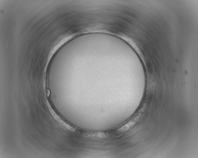 X0000060800957200511241907