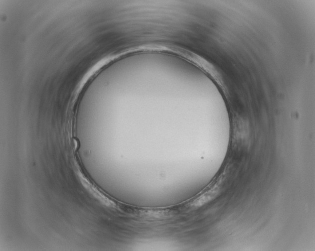 X0000060800958200511241907