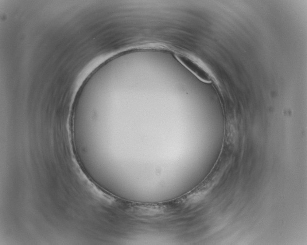 X0000060800959200511241907