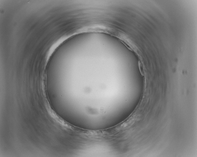 X0000060800960200511241907