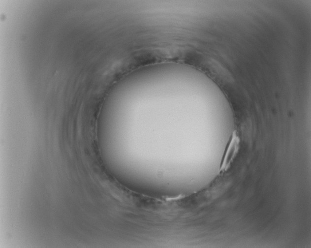 X0000060800961200511241906