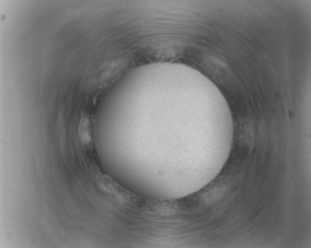 X0000060800962200511241906