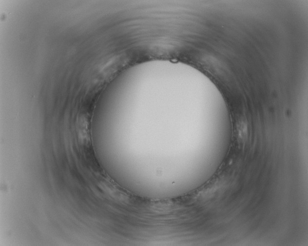 X0000060800964200511241906