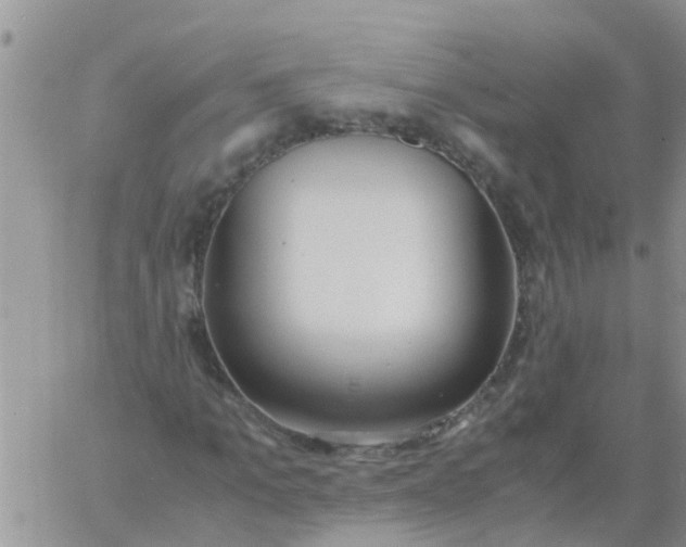 X0000060800965200511241906