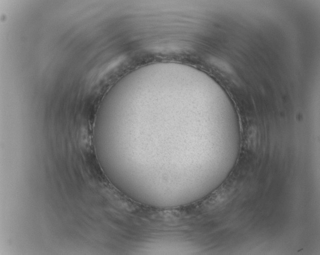 X0000060800966200511241906