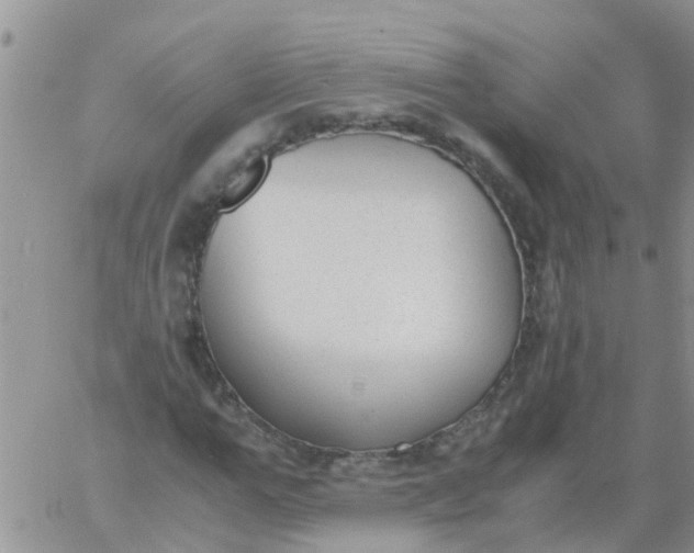 X0000060800967200511241906