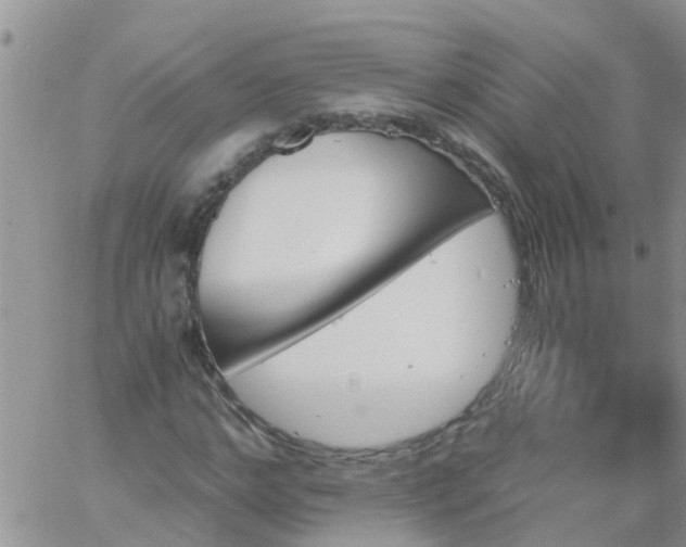 X0000060800968200511241906