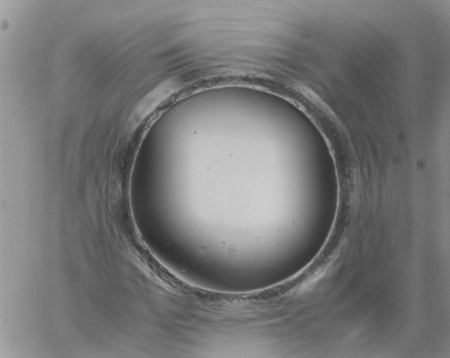 X0000060800969200511241906