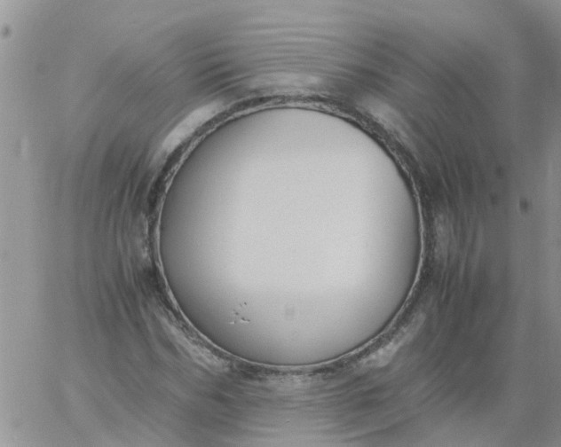 X0000060800970200511241906