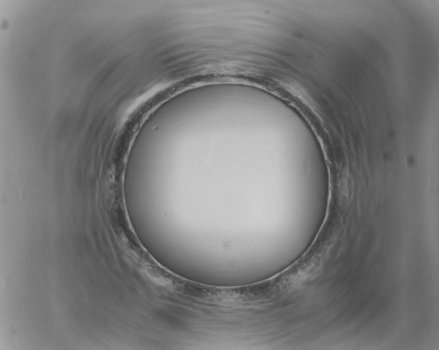 X0000060800971200511241906