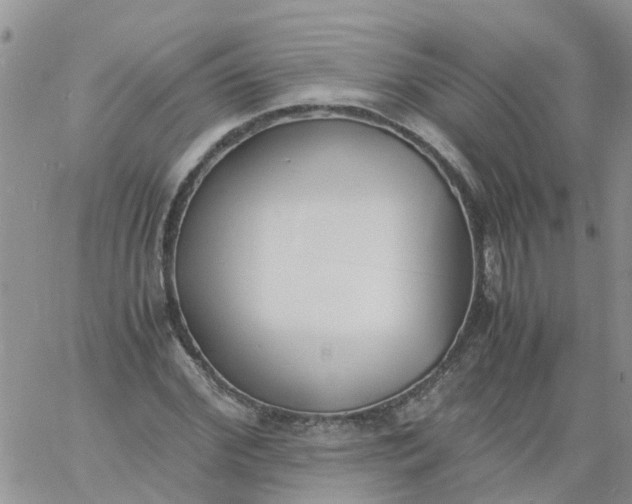 X0000060800972200511241906