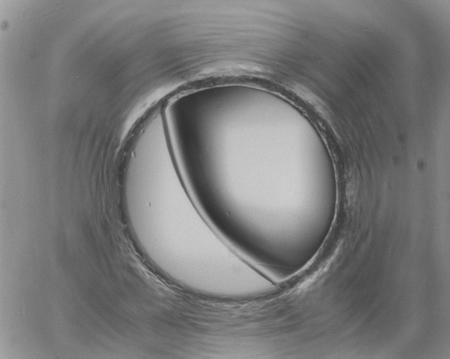 X0000060800973200511241906