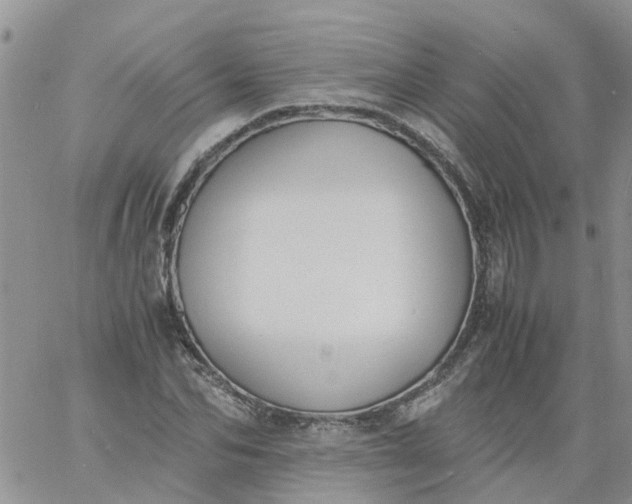 X0000060800974200511241906